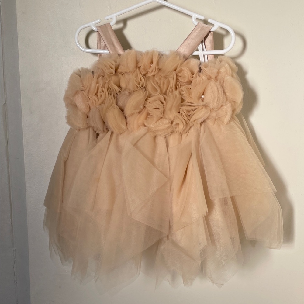Peach/beige Tulle Dress with Floral Accents
